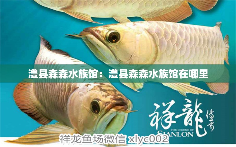 澧縣森森水族館：澧縣森森水族館在哪里 全國(guó)水族館企業(yè)名錄