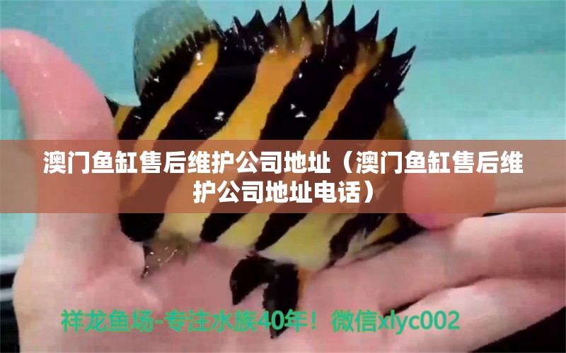 澳門(mén)魚(yú)缸售后維護(hù)公司地址（澳門(mén)魚(yú)缸售后維護(hù)公司地址電話）