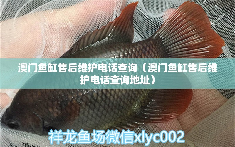 澳門(mén)魚(yú)缸售后維護(hù)電話查詢（澳門(mén)魚(yú)缸售后維護(hù)電話查詢地址）