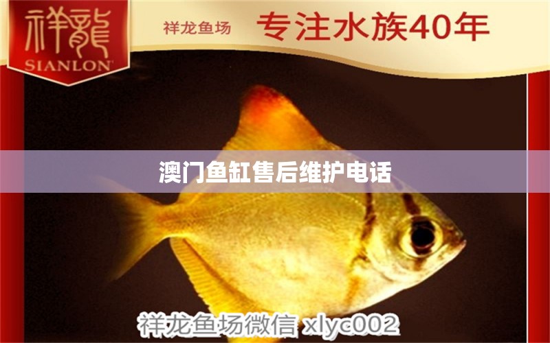 澳門魚缸售后維護(hù)電話