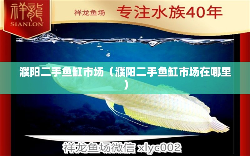 濮陽(yáng)二手魚(yú)缸市場(chǎng)（濮陽(yáng)二手魚(yú)缸市場(chǎng)在哪里）