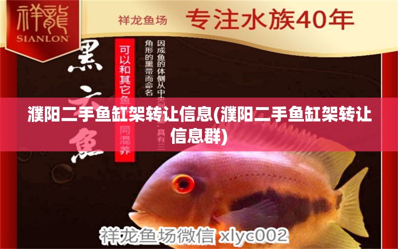 濮陽二手魚缸架轉讓信息(濮陽二手魚缸架轉讓信息群) 狗頭魚