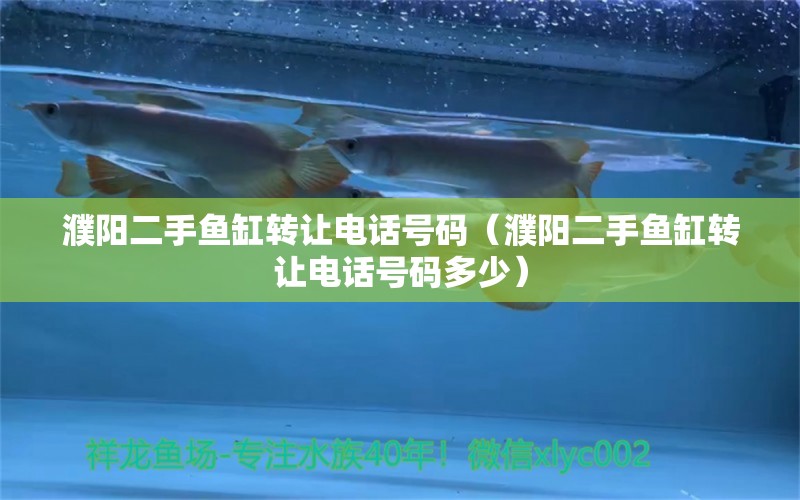 濮陽(yáng)二手魚缸轉(zhuǎn)讓電話號(hào)碼（濮陽(yáng)二手魚缸轉(zhuǎn)讓電話號(hào)碼多少）