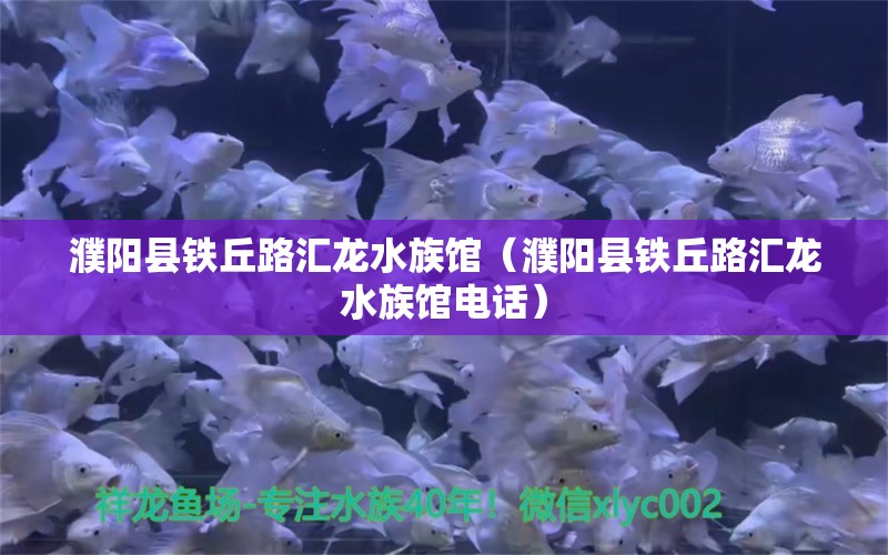 濮陽縣鐵丘路匯龍水族館（濮陽縣鐵丘路匯龍水族館電話）