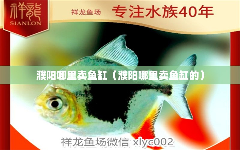 濮陽(yáng)哪里賣魚缸（濮陽(yáng)哪里賣魚缸的）