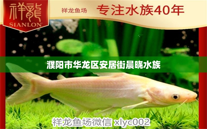 濮陽(yáng)市華龍區(qū)安居街晨曉水族 全國(guó)水族館企業(yè)名錄