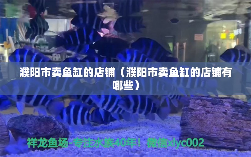 濮陽市賣魚缸的店鋪（濮陽市賣魚缸的店鋪有哪些） 其他品牌魚缸