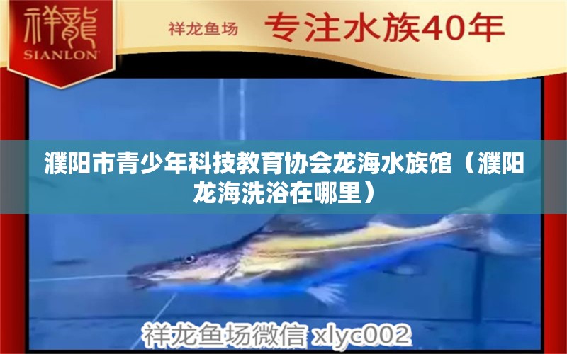 濮陽市青少年科技教育協(xié)會(huì)龍海水族館（濮陽龍海洗浴在哪里）