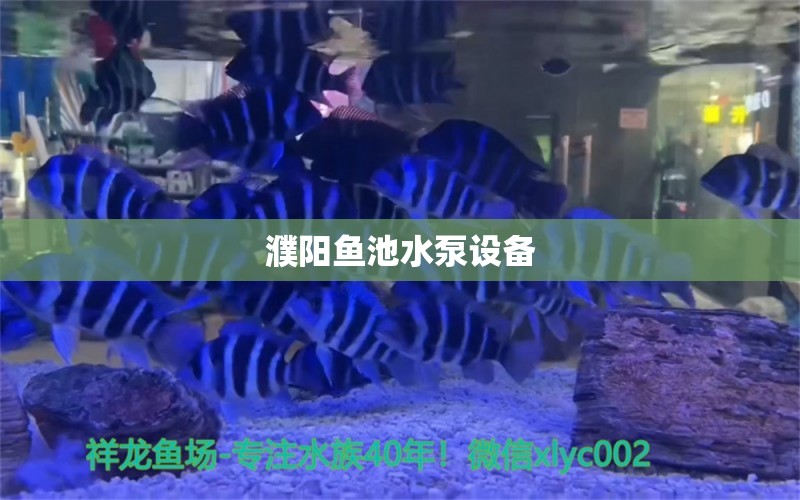 濮陽魚池水泵設(shè)備 廣州水族器材濾材批發(fā)市場