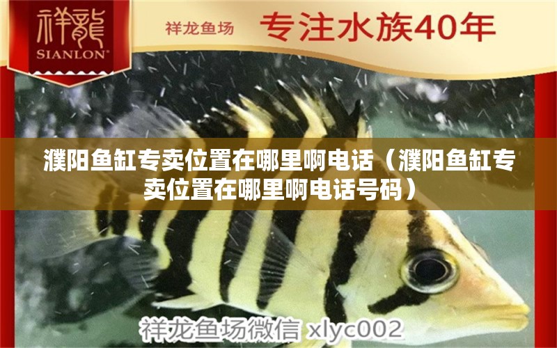 濮陽(yáng)魚(yú)缸專賣位置在哪里啊電話（濮陽(yáng)魚(yú)缸專賣位置在哪里啊電話號(hào)碼）