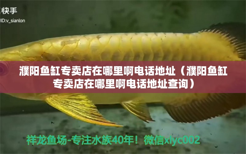 濮陽(yáng)魚(yú)缸專賣店在哪里啊電話地址（濮陽(yáng)魚(yú)缸專賣店在哪里啊電話地址查詢）