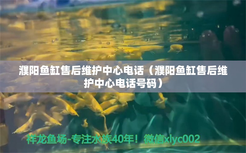 濮陽魚缸售后維護中心電話（濮陽魚缸售后維護中心電話號碼） 其他品牌魚缸