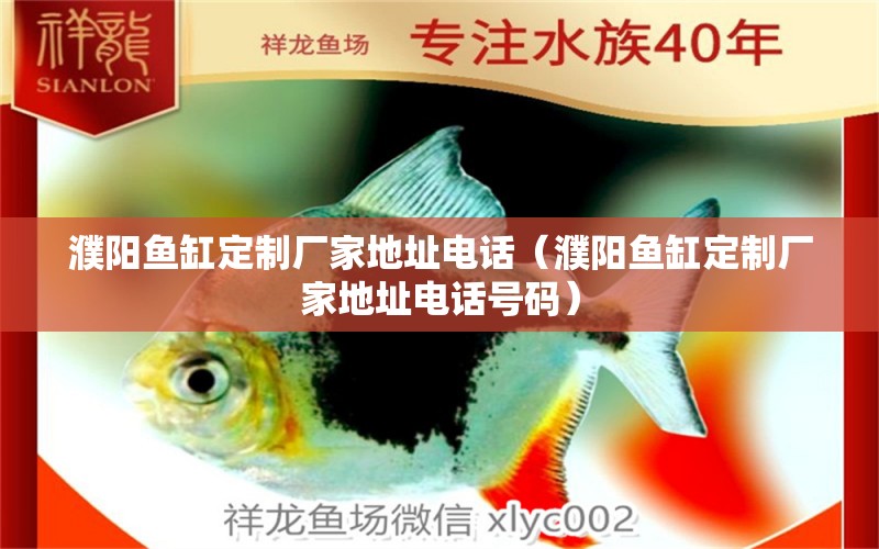 濮陽(yáng)魚(yú)缸定制廠家地址電話（濮陽(yáng)魚(yú)缸定制廠家地址電話號(hào)碼） 祥龍水族醫(yī)院