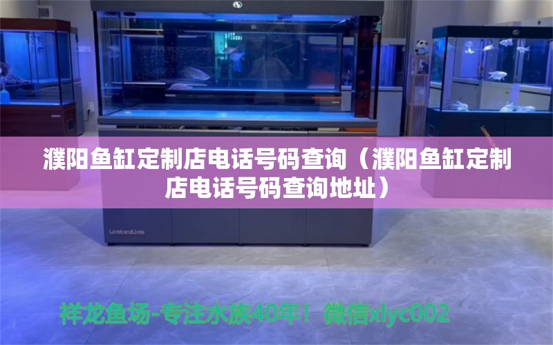 濮陽魚缸定制店電話號碼查詢（濮陽魚缸定制店電話號碼查詢地址）