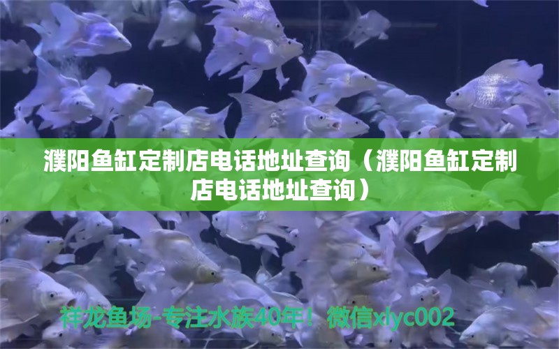 濮陽魚缸定制店電話地址查詢（濮陽魚缸定制店電話地址查詢） 龍魚芯片掃碼器