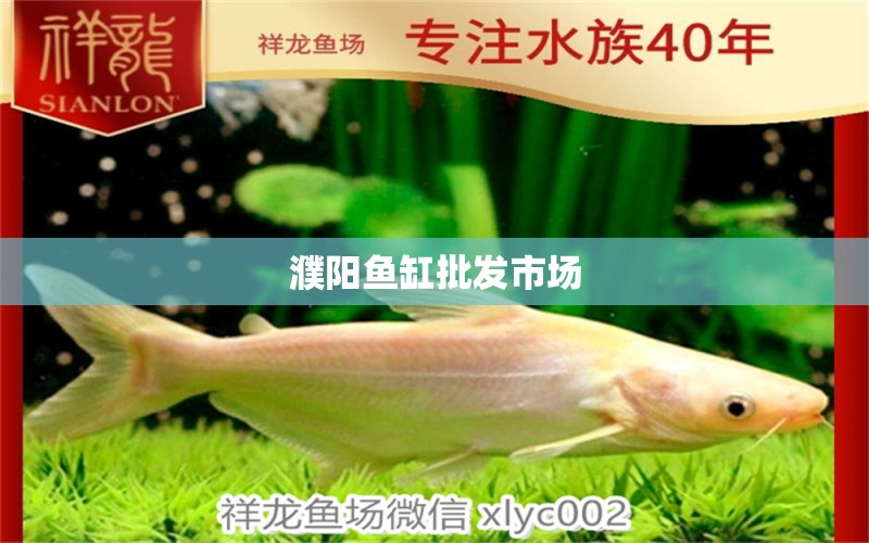 濮陽魚缸批發(fā)市場 祥龍魚場