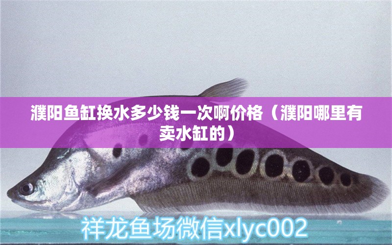 濮陽(yáng)魚(yú)缸換水多少錢(qián)一次啊價(jià)格（濮陽(yáng)哪里有賣(mài)水缸的）