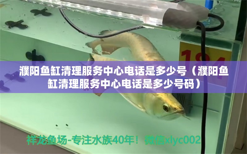 濮陽(yáng)魚(yú)缸清理服務(wù)中心電話是多少號(hào)（濮陽(yáng)魚(yú)缸清理服務(wù)中心電話是多少號(hào)碼） 祥龍水族醫(yī)院