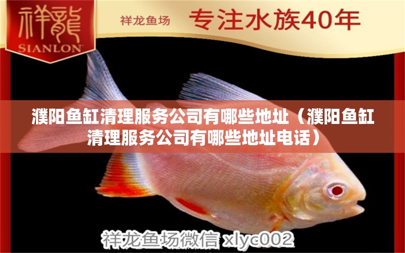 濮陽魚缸清理服務(wù)公司有哪些地址（濮陽魚缸清理服務(wù)公司有哪些地址電話） 飛鳳魚