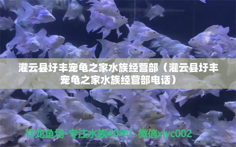 灌云縣圩豐寵龜之家水族經(jīng)營部（灌云縣圩豐寵龜之家水族經(jīng)營部電話） 烏龜