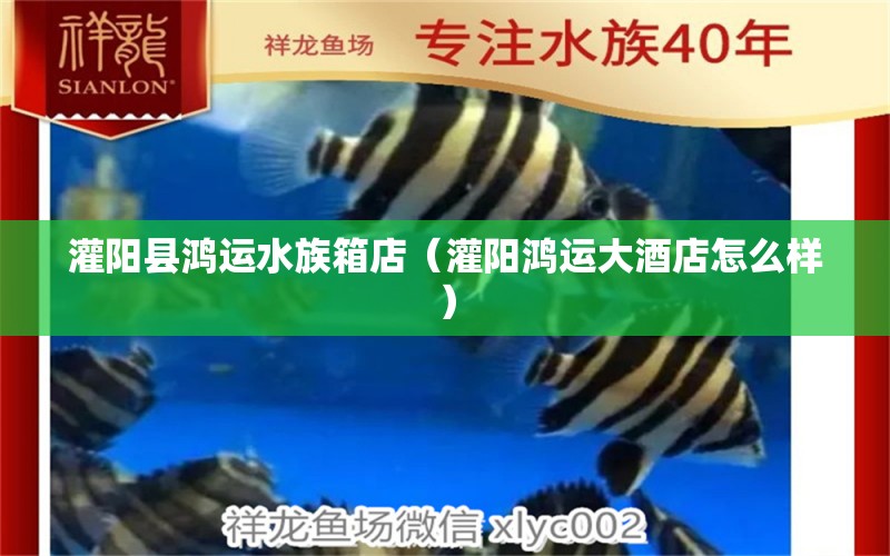 灌陽(yáng)縣鴻運(yùn)水族箱店（灌陽(yáng)鴻運(yùn)大酒店怎么樣）