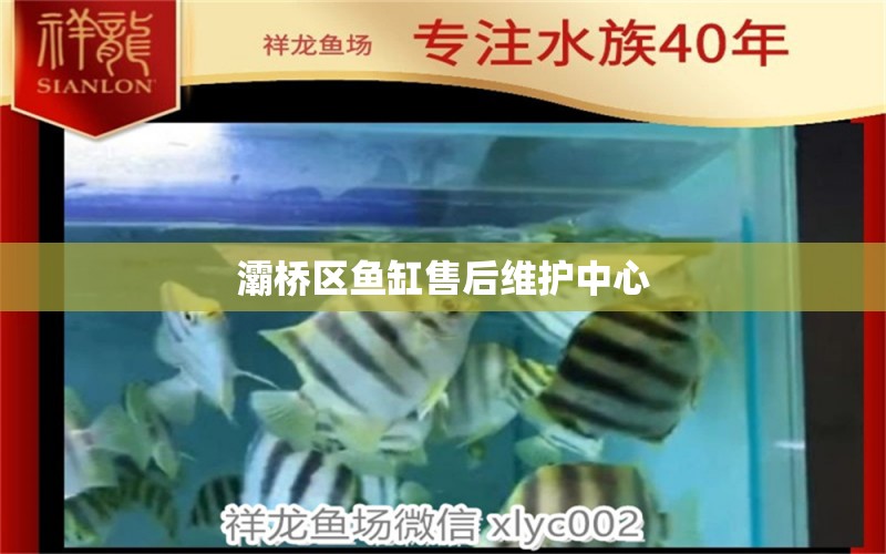 灞橋區(qū)魚缸售后維護(hù)中心 其他品牌魚缸