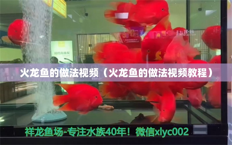 火龍魚的做法視頻（火龍魚的做法視頻教程） 廣州龍魚批發(fā)市場