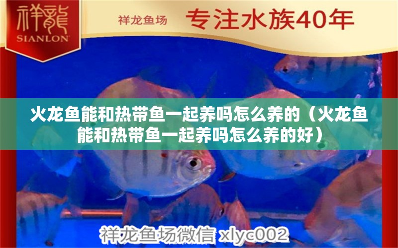 火龍魚能和熱帶魚一起養(yǎng)嗎怎么養(yǎng)的（火龍魚能和熱帶魚一起養(yǎng)嗎怎么養(yǎng)的好）