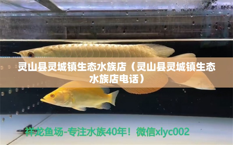 靈山縣靈城鎮(zhèn)生態(tài)水族店（靈山縣靈城鎮(zhèn)生態(tài)水族店電話）