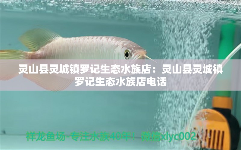 靈山縣靈城鎮(zhèn)羅記生態(tài)水族店：靈山縣靈城鎮(zhèn)羅記生態(tài)水族店電話