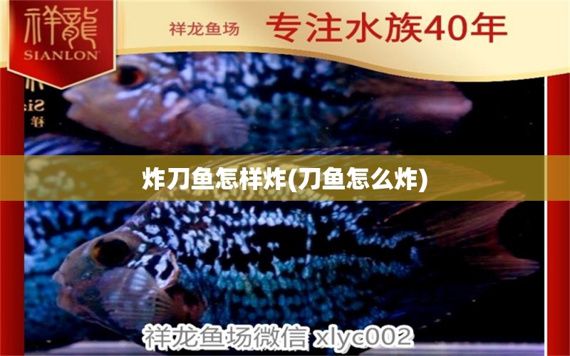 炸刀魚怎樣炸(刀魚怎么炸) 賽級紅龍魚