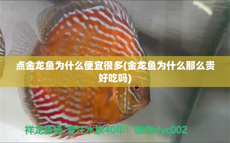 點(diǎn)金龍魚為什么便宜很多(金龍魚為什么那么貴好吃嗎) 蝴蝶鯉