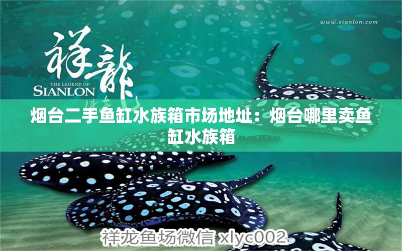 煙臺(tái)二手魚(yú)缸水族箱市場(chǎng)地址：煙臺(tái)哪里賣魚(yú)缸水族箱