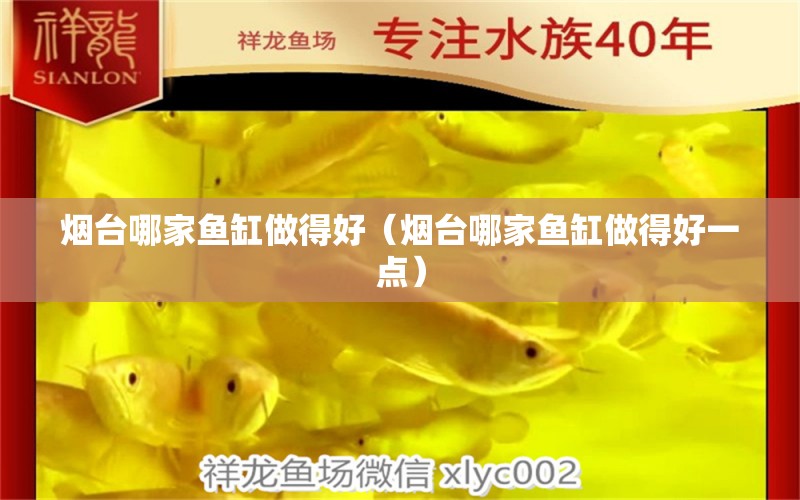 煙臺哪家魚缸做得好（煙臺哪家魚缸做得好一點） 其他品牌魚缸