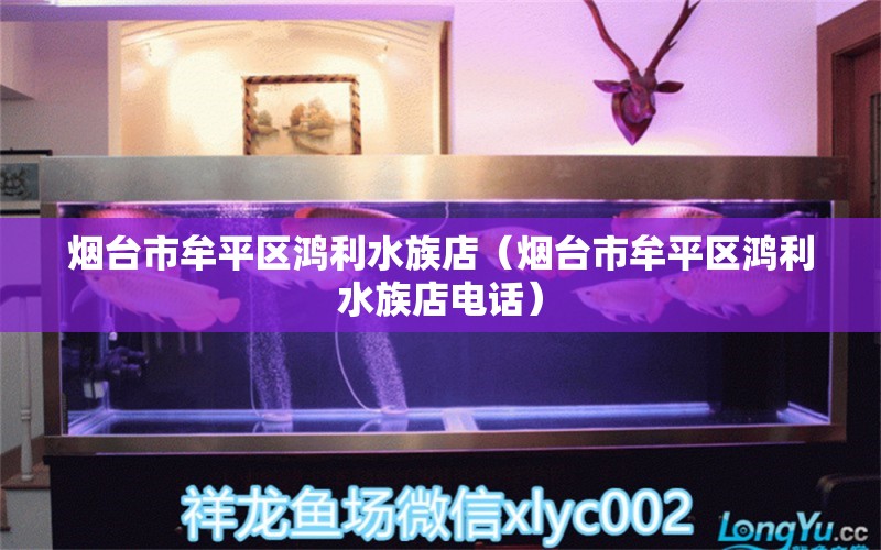 煙臺市牟平區(qū)鴻利水族店（煙臺市牟平區(qū)鴻利水族店電話） 全國水族館企業(yè)名錄