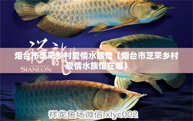 煙臺市芝罘鄉(xiāng)村愛情水族館（煙臺市芝罘鄉(xiāng)村愛情水族館在哪）