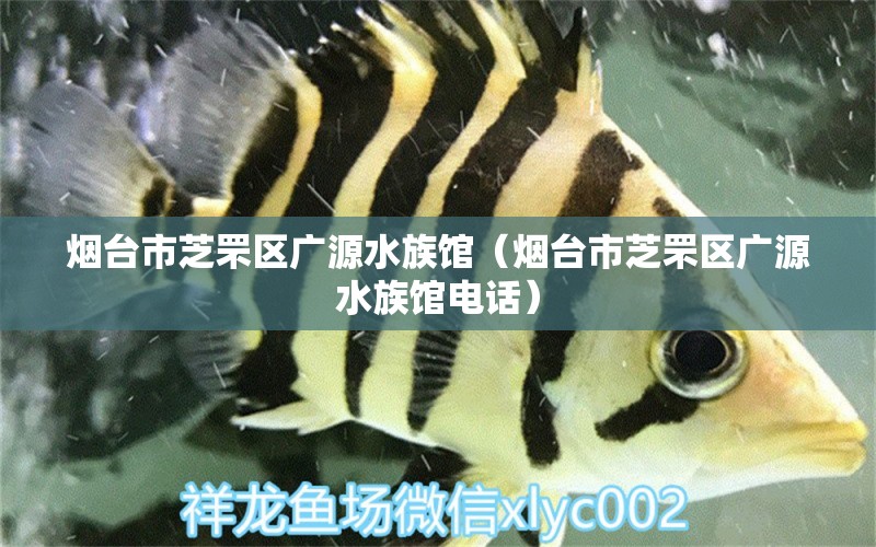 煙臺市芝罘區(qū)廣源水族館（煙臺市芝罘區(qū)廣源水族館電話）