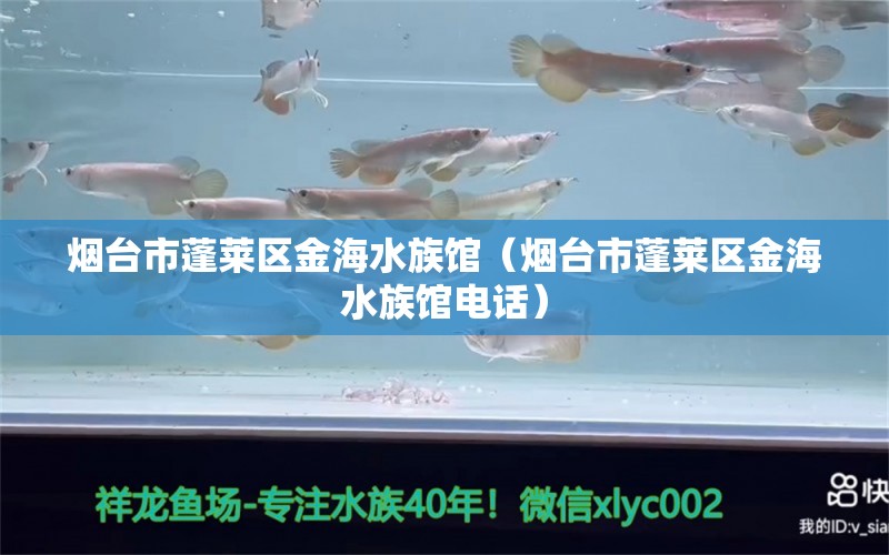 煙臺市蓬萊區(qū)金海水族館（煙臺市蓬萊區(qū)金海水族館電話）