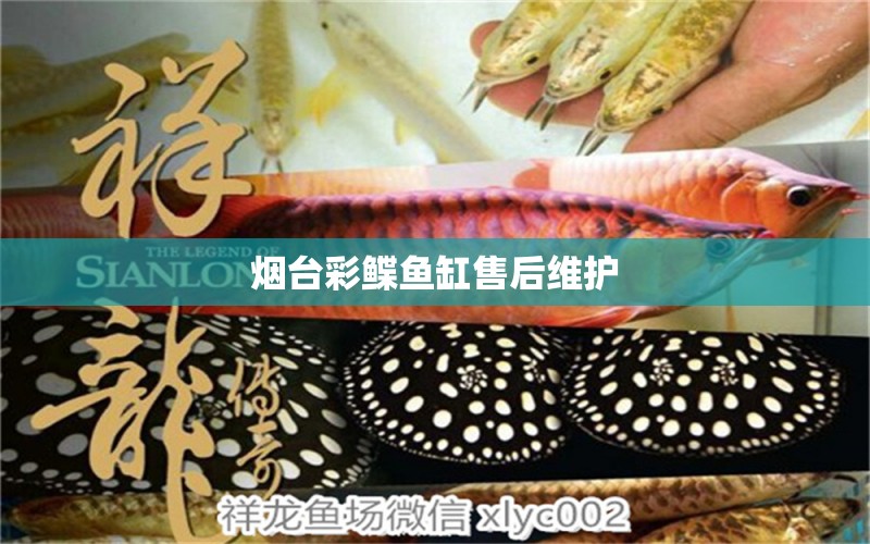 煙臺彩鰈魚缸售后維護 彩鰈魚缸（彩蝶魚缸）