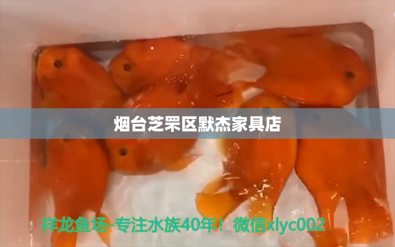 煙臺芝罘區(qū)默杰家具店 全國水族館企業(yè)名錄