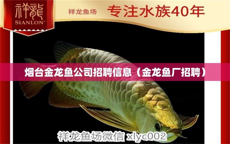 煙臺金龍魚公司招聘信息（金龍魚廠招聘）