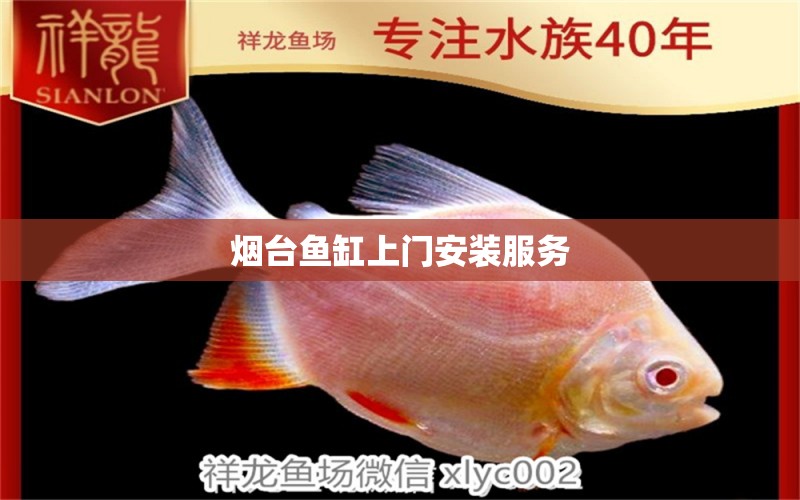 煙臺魚缸上門安裝服務(wù)