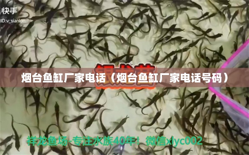 煙臺魚缸廠家電話（煙臺魚缸廠家電話號碼）