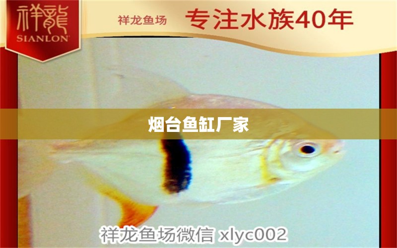 煙臺魚缸廠家 其他品牌魚缸