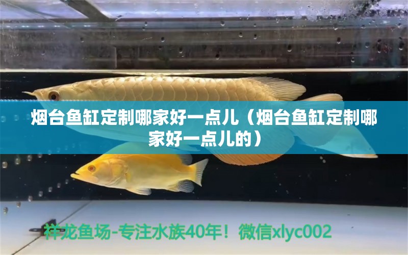 煙臺(tái)魚缸定制哪家好一點(diǎn)兒（煙臺(tái)魚缸定制哪家好一點(diǎn)兒的）