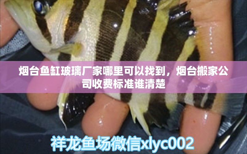 煙臺魚缸玻璃廠家哪里可以找到，煙臺搬家公司收費標(biāo)準(zhǔn)誰清楚