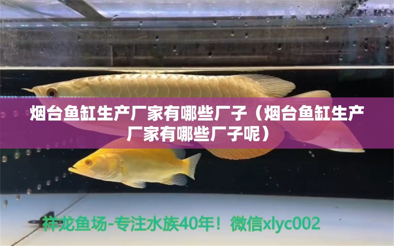 煙臺魚缸生產(chǎn)廠家有哪些廠子（煙臺魚缸生產(chǎn)廠家有哪些廠子呢） 祥龍水族醫(yī)院