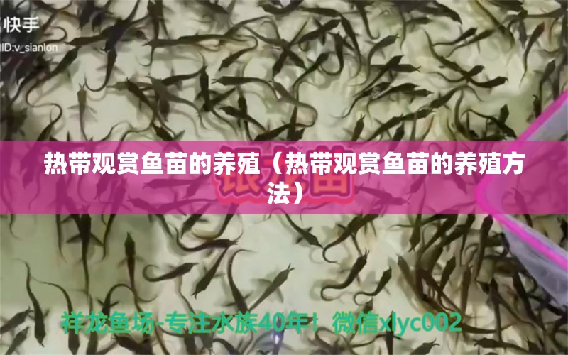 熱帶觀賞魚(yú)苗的養(yǎng)殖（熱帶觀賞魚(yú)苗的養(yǎng)殖方法）