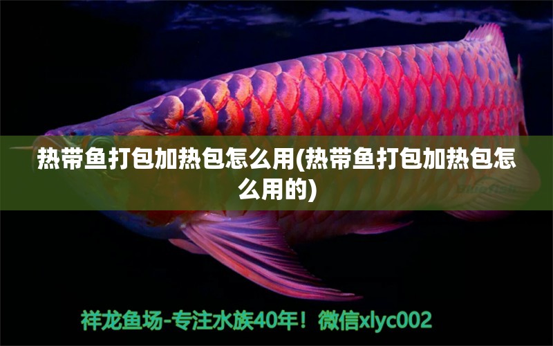 熱帶魚(yú)打包加熱包怎么用(熱帶魚(yú)打包加熱包怎么用的) 福滿鉆魚(yú)