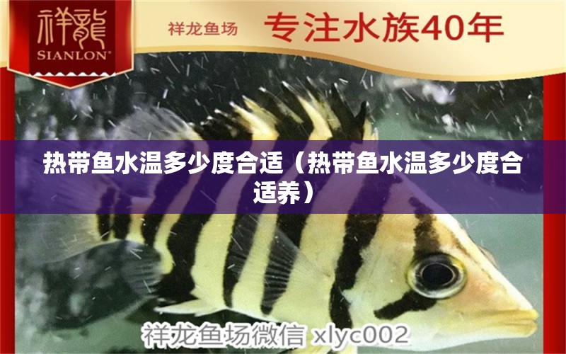 熱帶魚(yú)水溫多少度合適（熱帶魚(yú)水溫多少度合適養(yǎng)） 藍(lán)底過(guò)背金龍魚(yú)